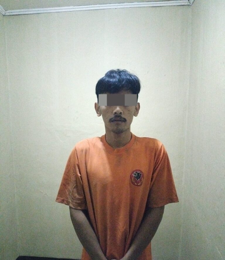 WhatsApp Image 2025-08-09 at 21.55.57_597a95b4