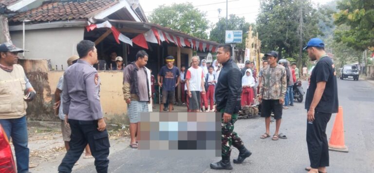 WhatsApp Image 2025-08-11 at 20.13.44_d5a50bcd