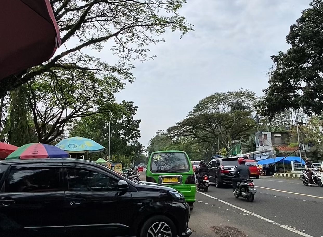 WhatsApp Image 2025-09-17 at 08.49.59_3da50bc8