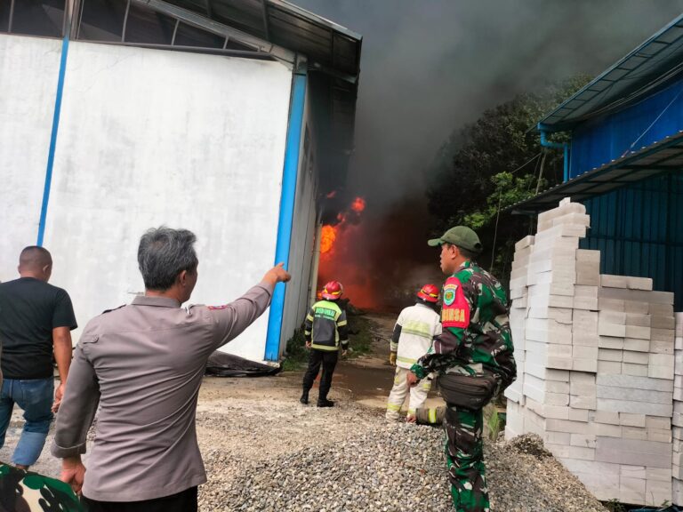 WhatsApp Image 2025-11-02 at 22.58.17_937793bc