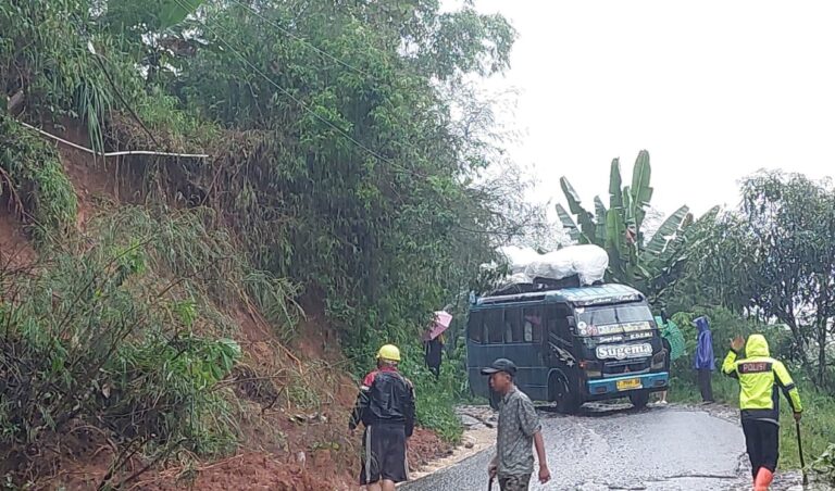 WhatsApp Image 2025-11-09 at 22.40.18_737288b3