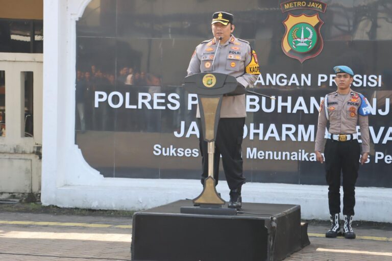 WhatsApp Image 2025-12-25 at 16.23.01_93b8d311