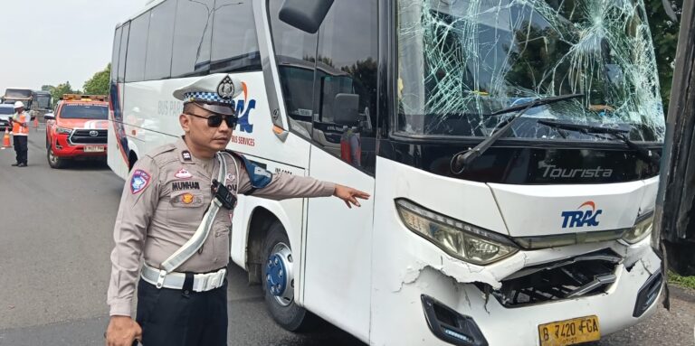 WhatsApp Image 2025-12-25 at 19.54.05_7a0383f2