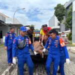 WhatsApp Image 2025-12-26 at 15.24.04_0182c657