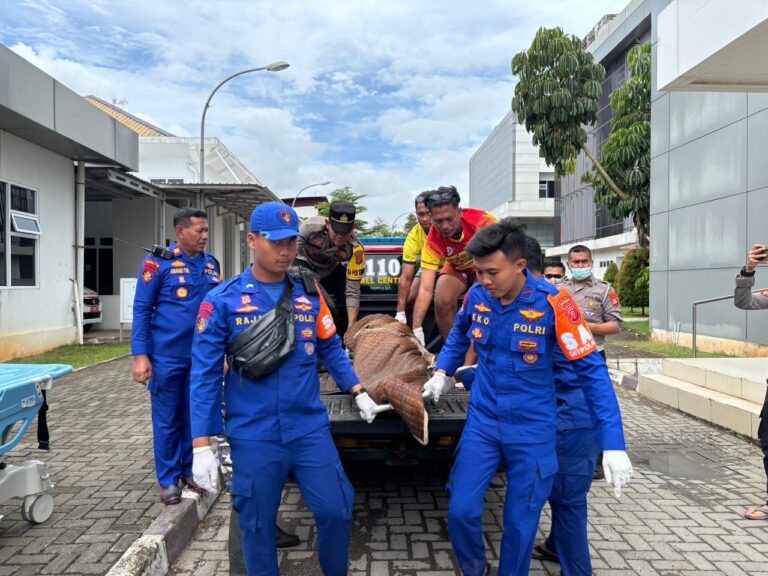 WhatsApp Image 2025-12-26 at 15.24.04_0182c657